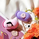 브라운버즈 이미지