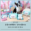 댕이곳간 | 강아지핥는이유 발사탕 펫티슈 순둥이와댕댕이물티슈 추천