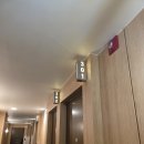 사보이호텔 | 완전 짧은 대구 사보이호텔 본관 숙박 후기