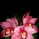 멋진 하루 이미지