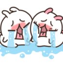 스위트카 이미지