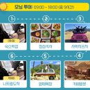 나실목장 | [나트랑 투어] 판랑 사막투어