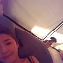애견파라독스펜션