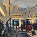 트라이짐 이미지