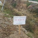 합덕역 진입도로 이미지