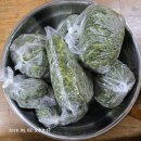 쑥 사랑에 빠진 하짱콩 이미지