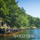 마음여행자 이미지