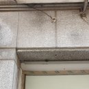 안산천동로 네이버블로그