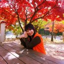 팔공산힐링 이미지