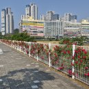 꽃나래 - 강남구 도산대로26길 11 | 꽃나래