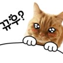 텐어클락 이미지