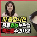 마 효능 마즙 마가루 둥근마 산마 참마효능 위에좋은음식 이미지