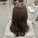 규리헤어샵 | 창원 상남동 미용실 에이바헤어 톤다운 전체염색 규리 디자이너