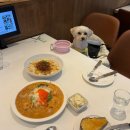 송도애견동반 식당 <다이너 송도점> | 파스타 뇨끼 내돈내산 솔직후기