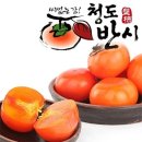 청도감고을 | 🍊 「청도 반시(淸道班柿)」 - 씨 없는 단맛의 결정체