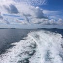 Rhea hotel(레아호텔) | 세부 호텔 세부 숙소 세부항 근처 Mariners Court Hotel 내돈내산 세부 여행 후기