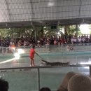 오금농장 이미지