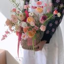 소희재 이미지