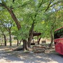 조동리경로당 이미지