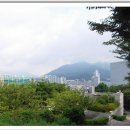 부산수목전시원 이미지