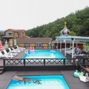 양양 발렌타인 애견펜션 이미지