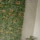 진솔자동차공업사 이미지