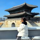 장안문 | 수원 행궁동 루프탑카페 팔레센트 추천 장안문 뷰 인생샷 후기