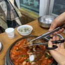 풍낙지 이미지