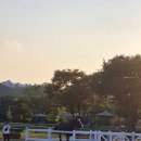 에이팜 | 태화강 남구둔치 에이팜 공연 후기 | 전통시장 행사 &amp; 안예은님 라이브 감동의 하루