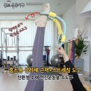 자세교정 스트레칭(소도구 활용 운동) | 집에서 스트레칭+코어운동 가능! 달루 전신운동 소도구 홈트운동기구 후기