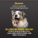 도그리니
