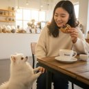 힐링 펫 카페 | [의왕 타임빌라스 맛집] 반려견과 자유롭게 즐기는 힐링 공간! '헨지' 카페 내돈내산 후기