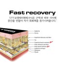 [교정테이핑 자격증과정] 미국KT TAPE® 테크니션 레벨2코스 5월23일-24일 / 강남교육원 이미지