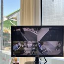 미용하는 강아지 이미지