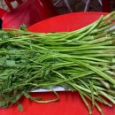 소산미나리농원 이미지