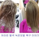 샬롬미용실 이미지