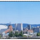 삼환나우빌(아) 이미지