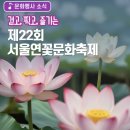 성지연꽃길 | [서울/신촌] 걸으면서 힐링하고 뛰어놀자! 2026 서울연꽃 문화축제 '단아축제' 봉원사 방문 기대 후기 🌸🎶✨