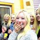 마이비 카카오 검색결과