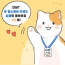 티드빗 이미지