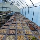 늘푸른소리 농장 이미지