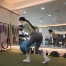 하이바디짐 이미지