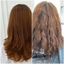 비비드헤어 이미지