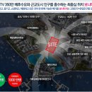 보니타가