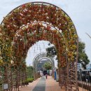 해운대관광안내소 이미지