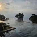 제주에산다면 이미지