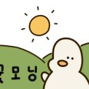 라스크쇼콜라 이미지