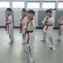 풍무태권도 네이버블로그
