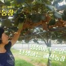 해산농장 이미지