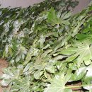 오륙도중학교 이미지